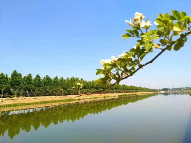"说到美景,总是离不开山水风光,而在平阴县锦水河,治水的成果在这个