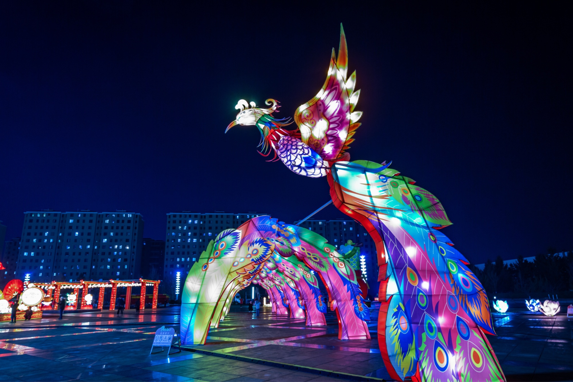 新·年味儿|大连普兰店区新春灯会亮灯