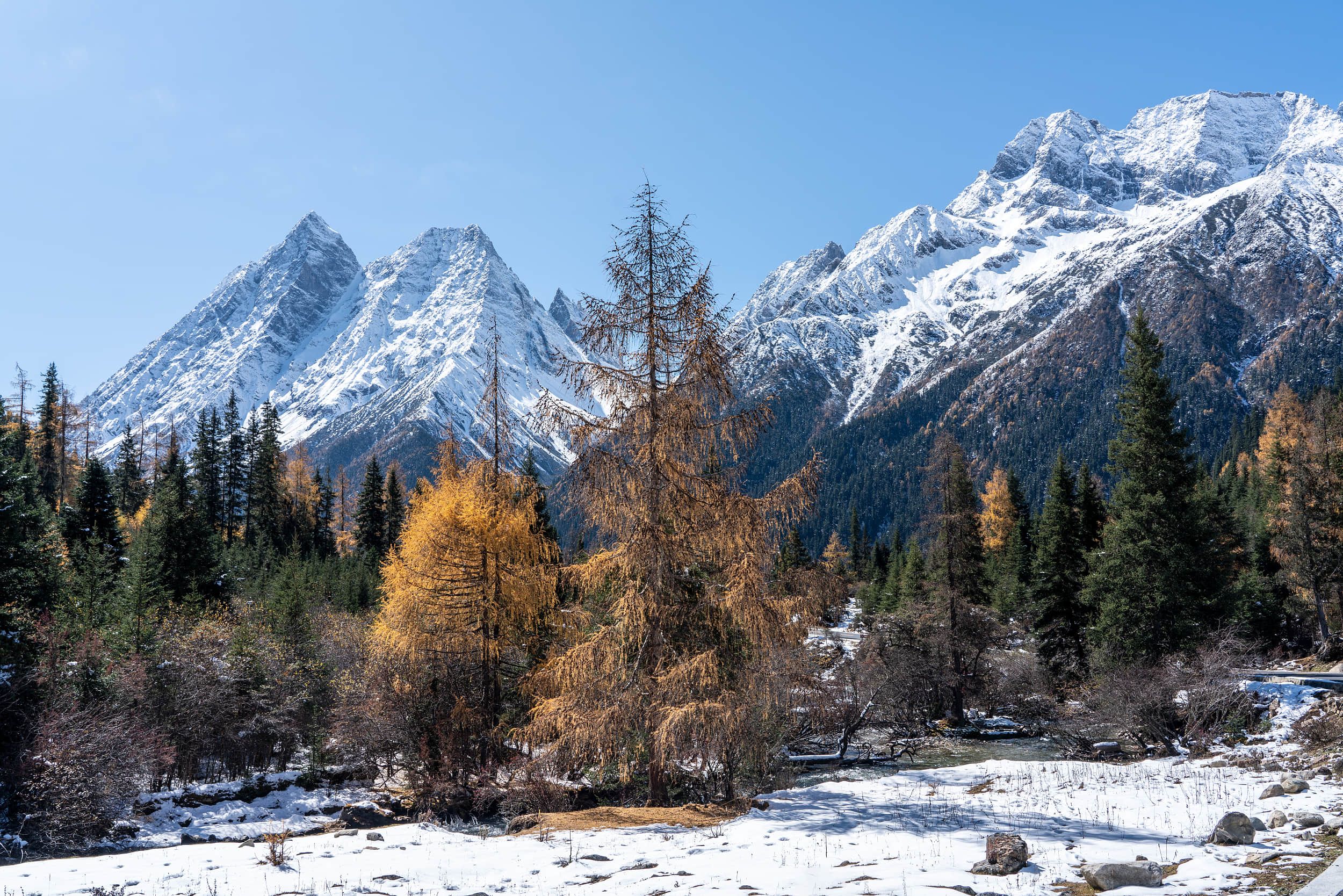 阿坝县有什么旅游景点图片