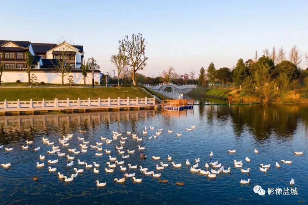 盐城冬季旅游景点大全图片