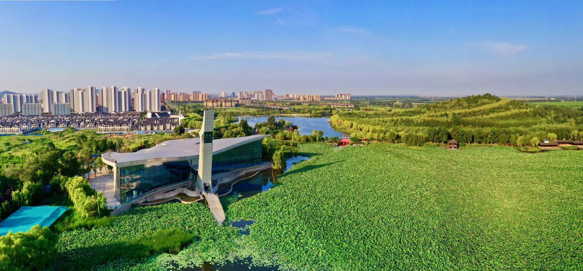 和谐共生美丽中国辽宁铁岭严重污染湿地变身十里莲花湖