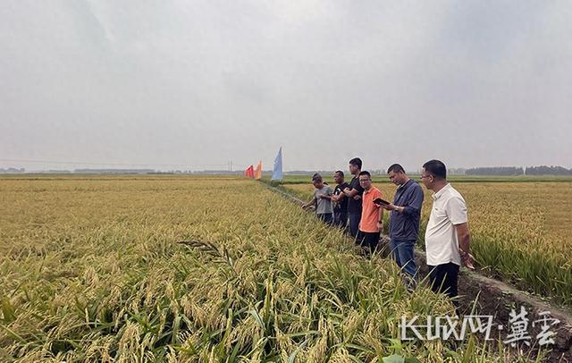 上粮图片