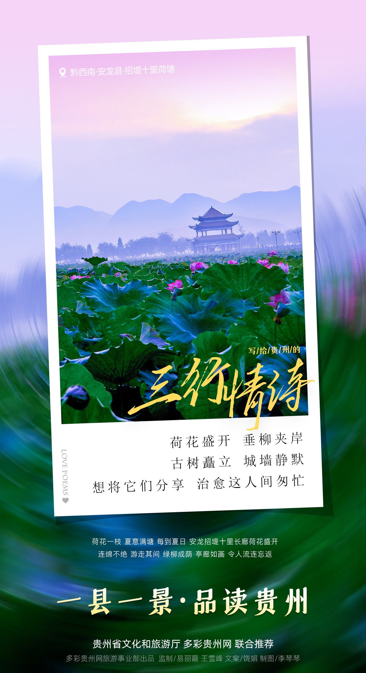 一县一景·品读贵州(13)|荷花之城 魅力安龙