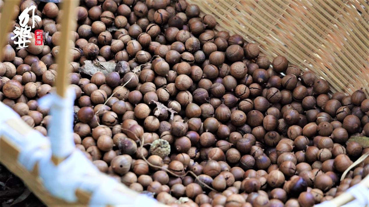 用山上野果做成的豆腐,山里人叫它苦槠干,你吃过吗?