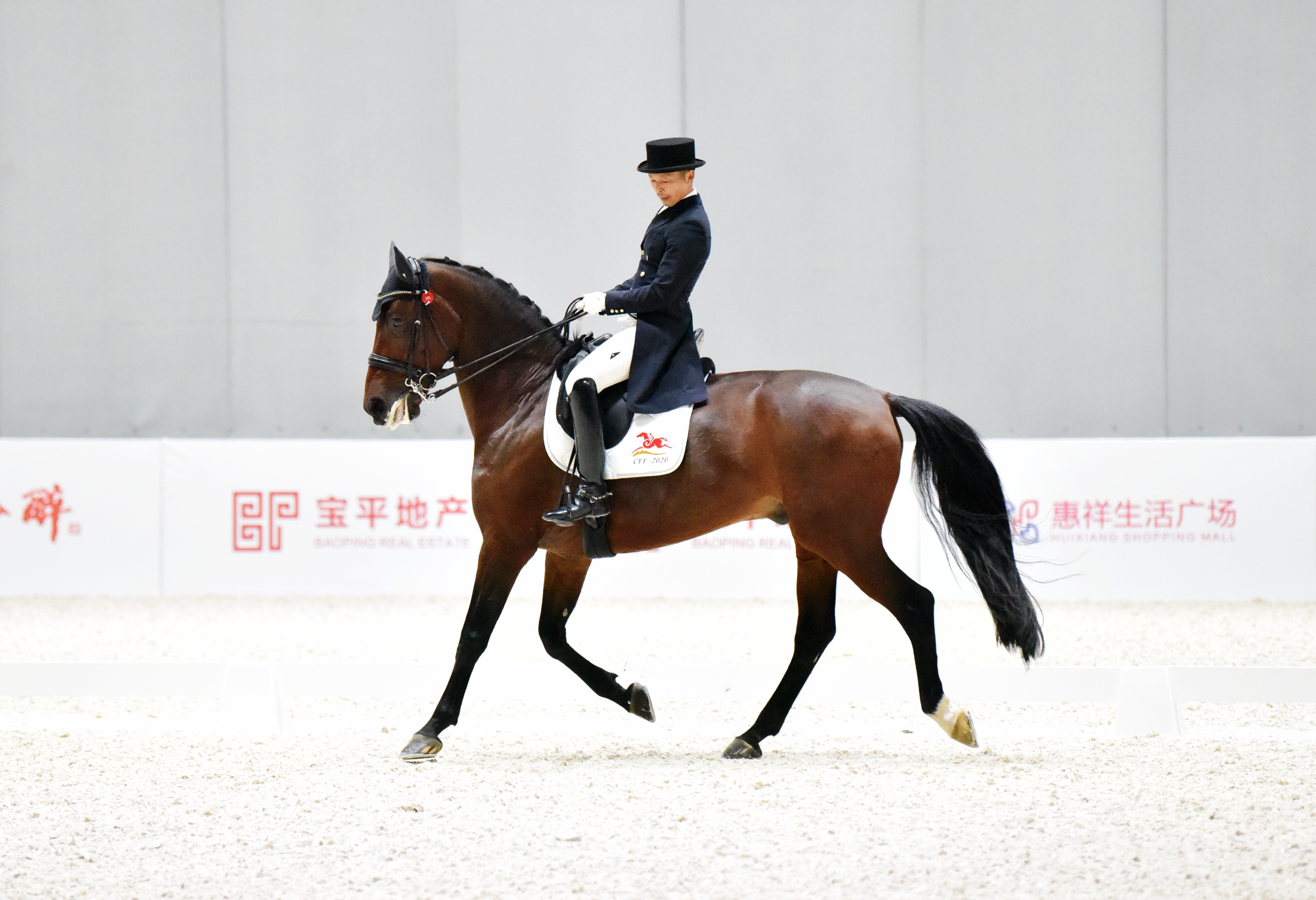 马术盛装舞步冠军杯赛广东队实现"大满贯"