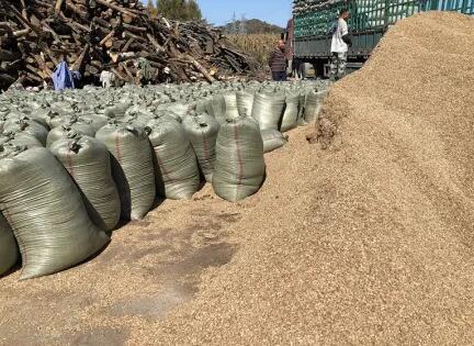 有没有烘烤干锯末的烘干设备