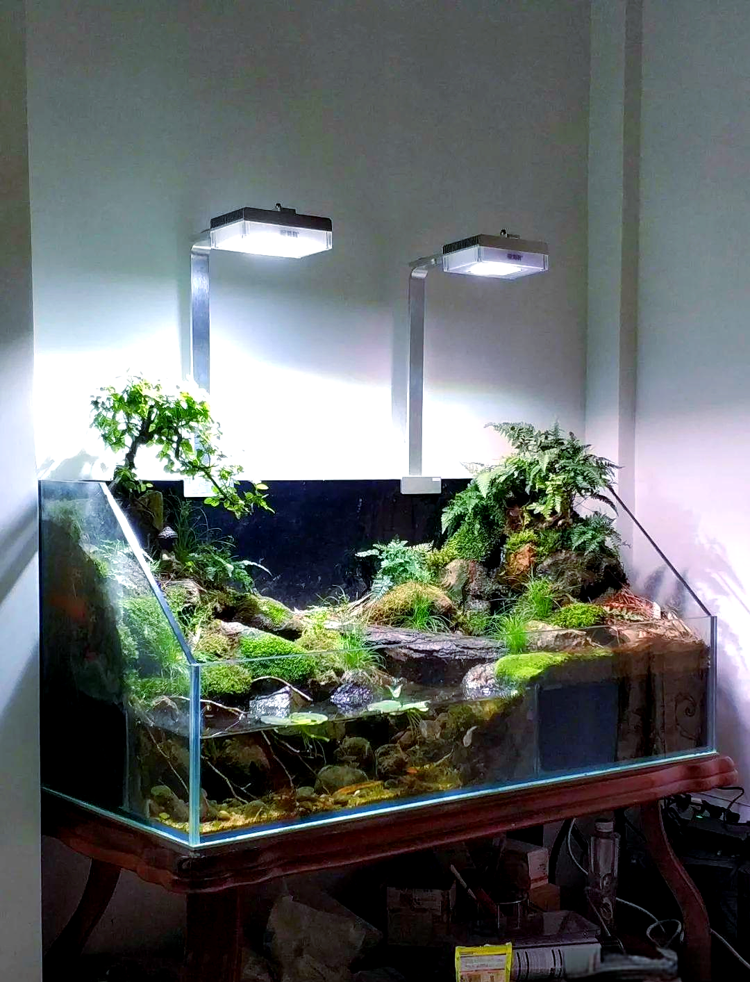 水陆龟缸翻缸前后对比,你更喜欢哪个风格?