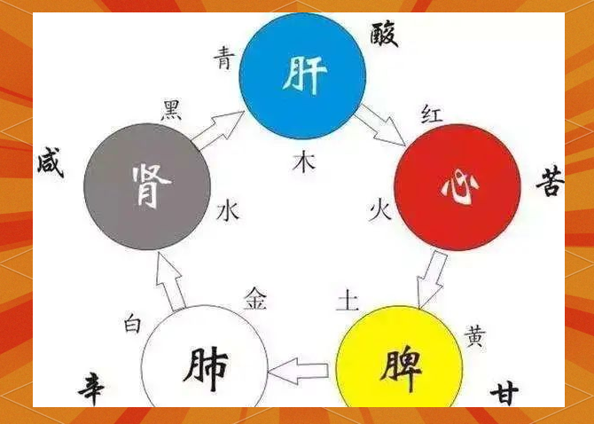 中医中五脏与五神之间的紧密联系