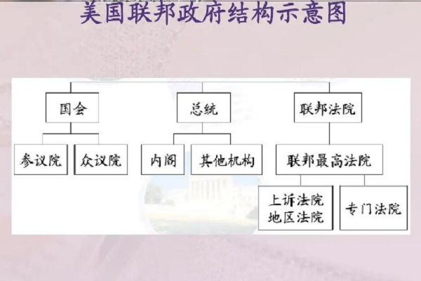 美国行政机构组织图图片