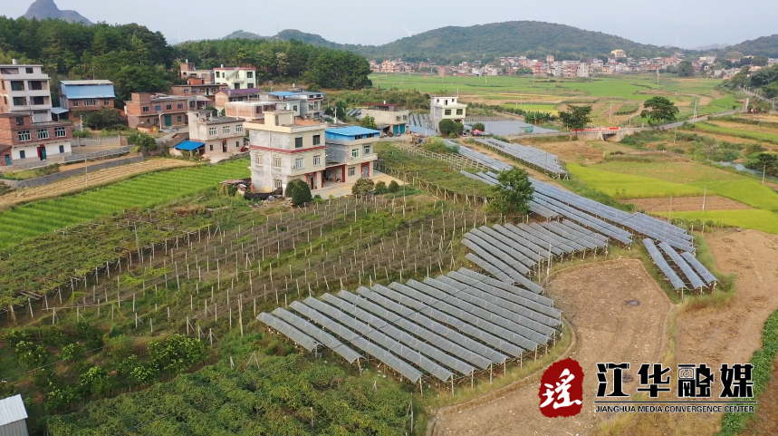 江华沱江镇大干村:八月瓜"开炸 游客采摘乐