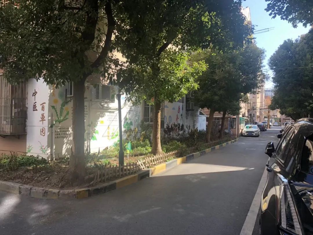 【我们的美丽家园】杨浦区长白新村街道安图小区