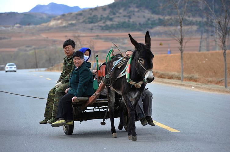 深入南疆的乡村,毛驴车成为了随处可见的交通工具,特