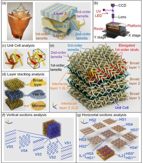 香港城市大学陆洋教授课题组:基于3d打印的仿生高韧机械超材料