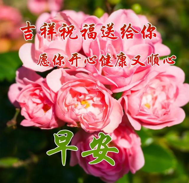 剛出來的最新早上好動態圖片,祝如意吉祥,平安健康.早上好