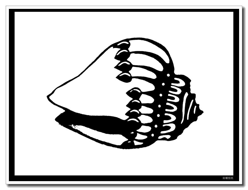 陈耀教你学剪纸系列之六十四,一组精美的海螺贝壳剪纸