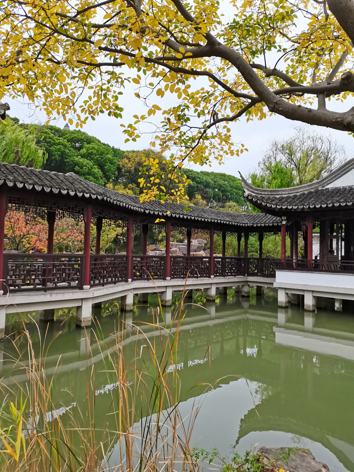苏州虎丘山之美丽风景
