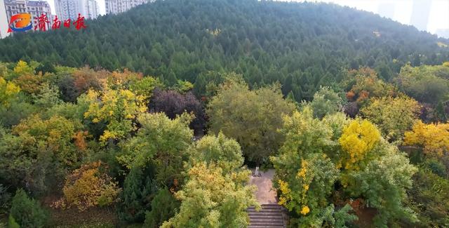 隐藏在济南市区的这座森林公园,此时漫山斑斓,景美还免费!