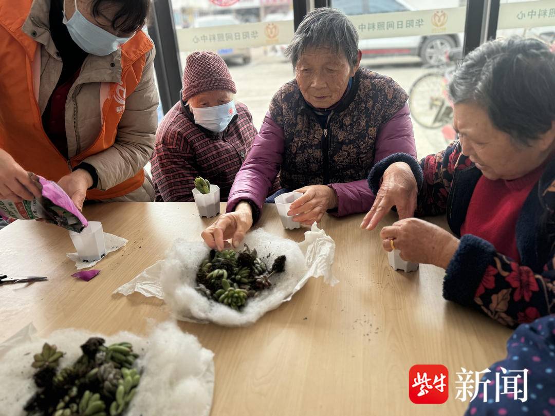 苏州市相城区望亭镇华阳村开展"春意萌动,播种绿色"多肉种植活动
