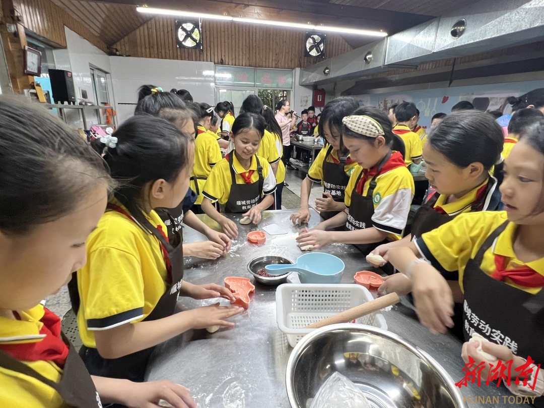 衡阳市蒸湘区呆鹰岭镇新阳小学开展"小农人田间课堂"校外劳动实践活动
