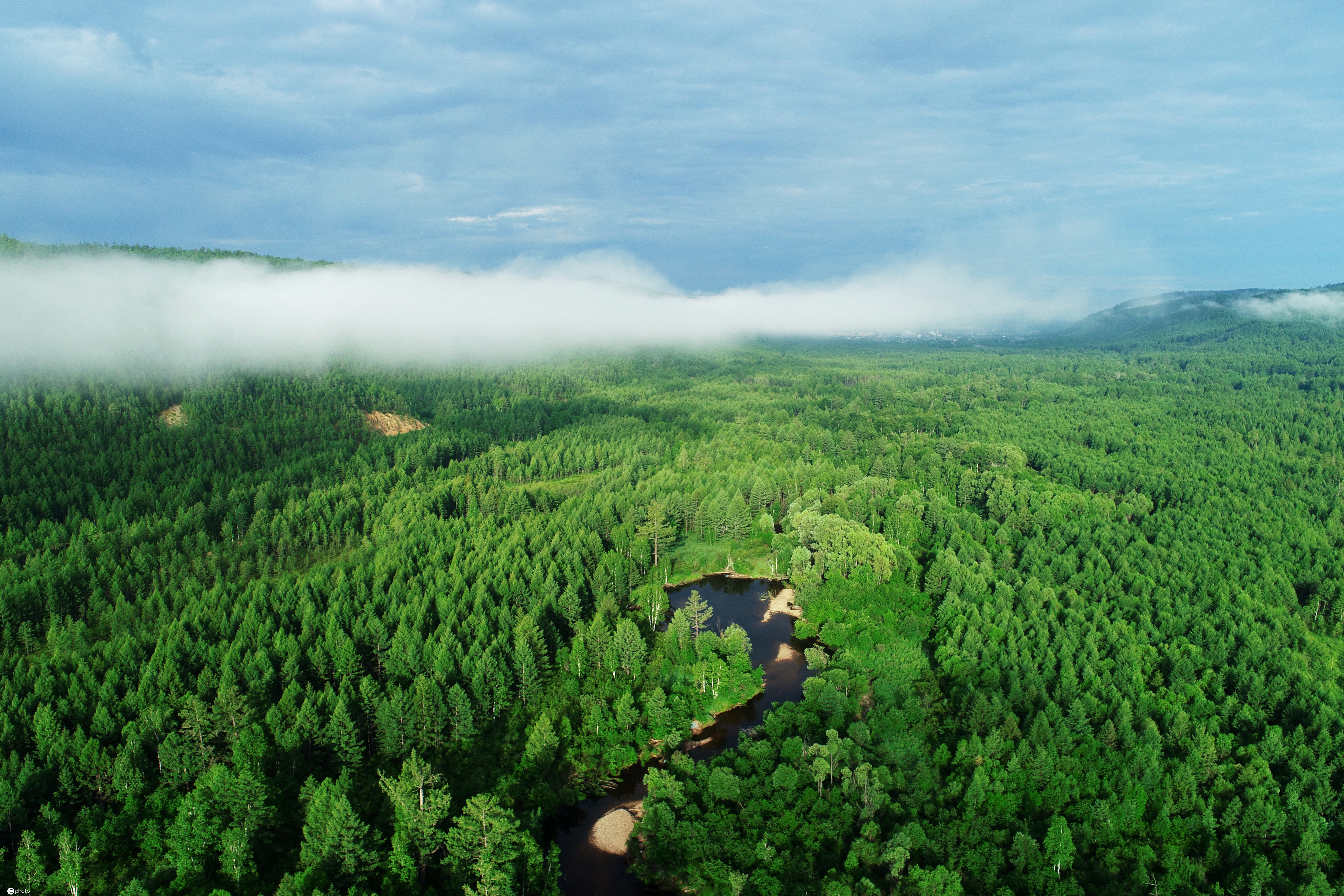 碳讨|拦住肆虐沙尘,林业碳汇能否实现跨区治沙?