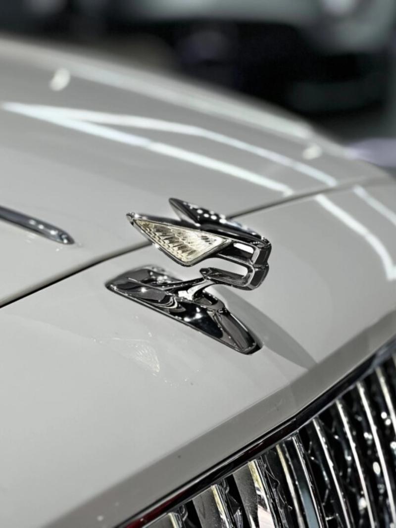 宾利的车标以简洁流畅的线条勾勒出翱翔的翅膀,整体形象犹如一只展翅