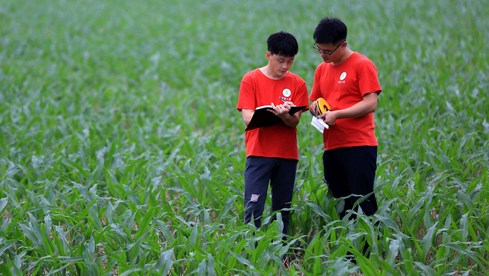 苏州招110名农业农村定向委培生,提供学费补助 就业分配