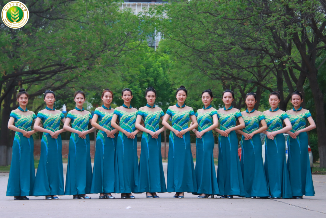 校礼仪队招新啦