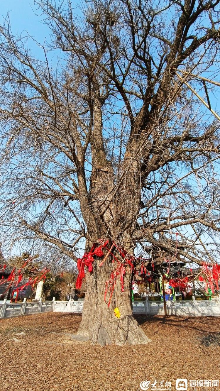 新春走基层