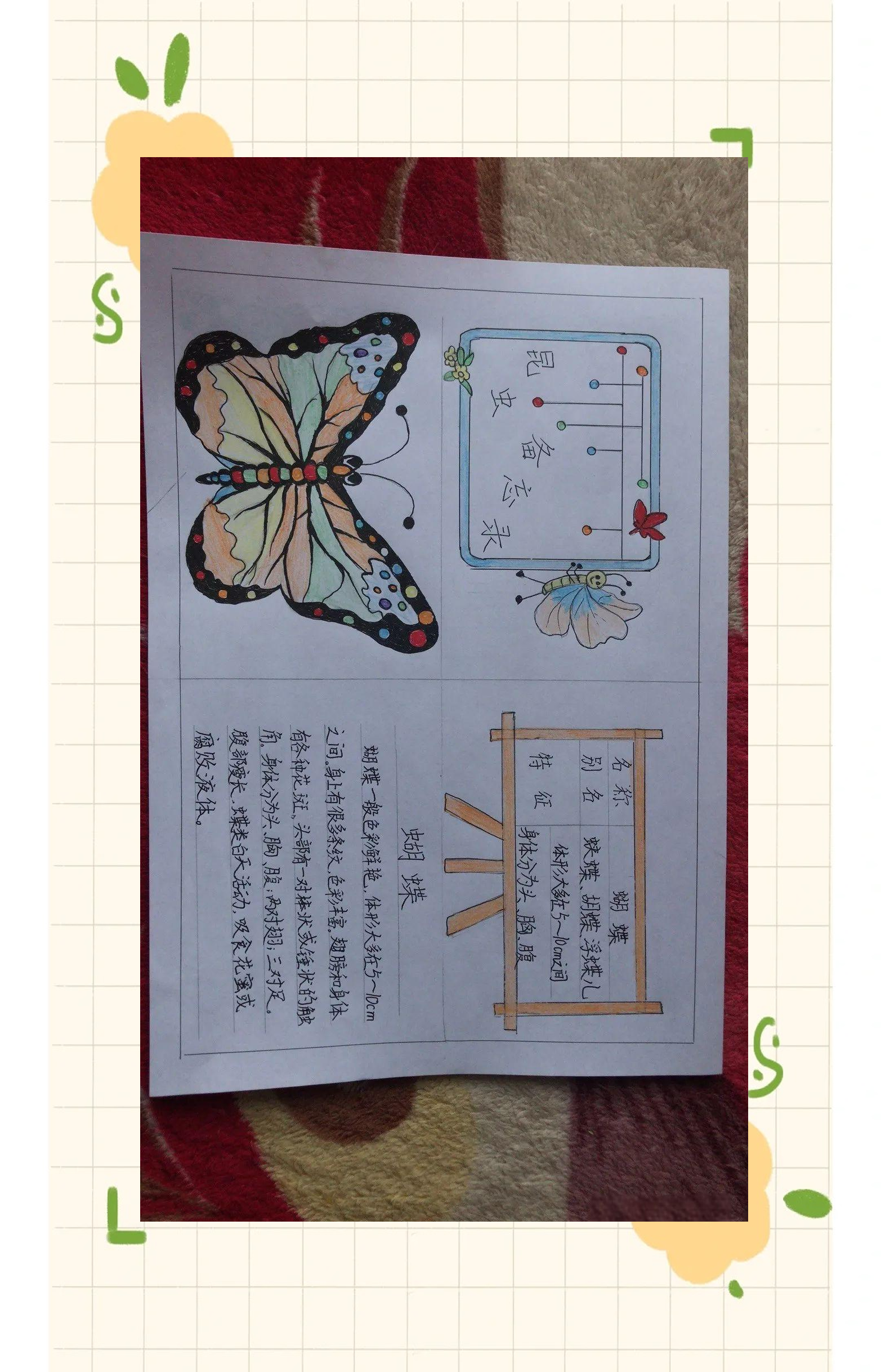 「美素教育•触觉二小」停课不停学