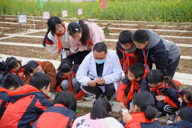 “小神农 植百草”探索校园里的中草药文化