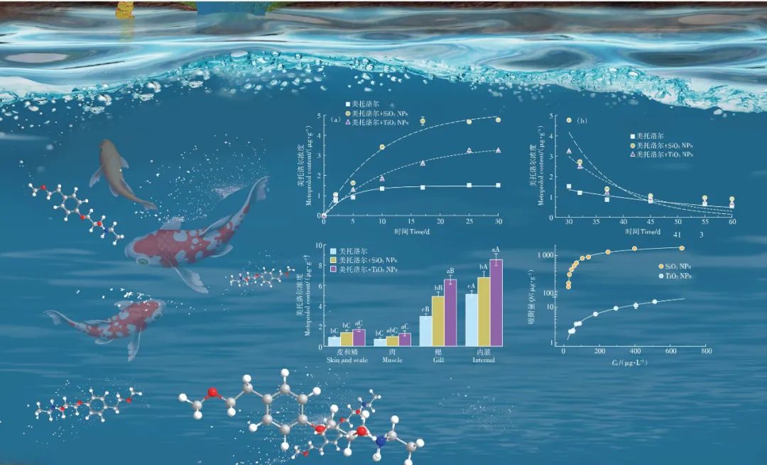 生物富集示意图图片