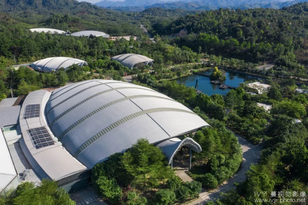 ivy蔓視覺影像出品|景田百歲山生產基地