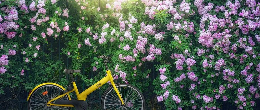 张智文:在"正心正己"中的前行