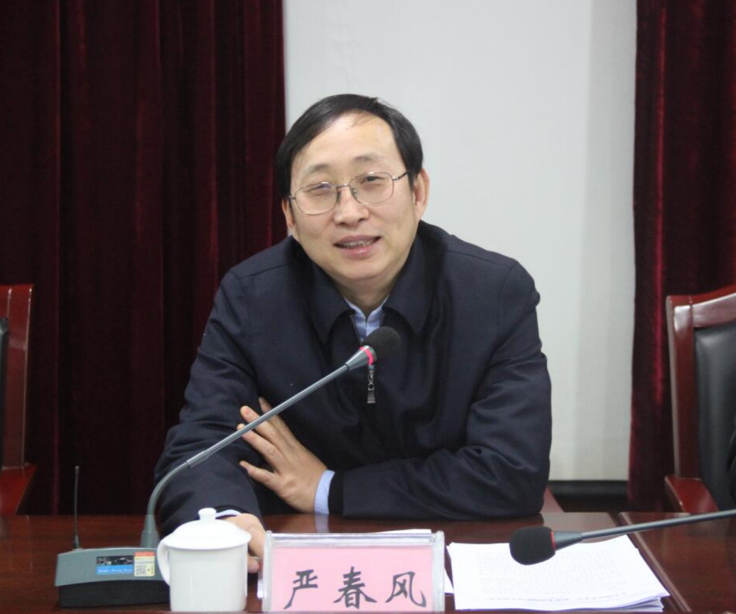 四川"双面书记"严春风:大收贿赂,隐瞒婚姻情况,被前妻拉下马