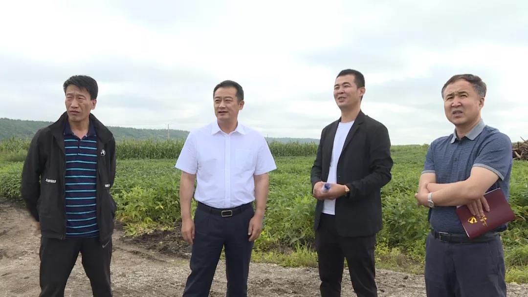 孙吴县高端网站建设_(孙吴县高端网站建设有哪些)