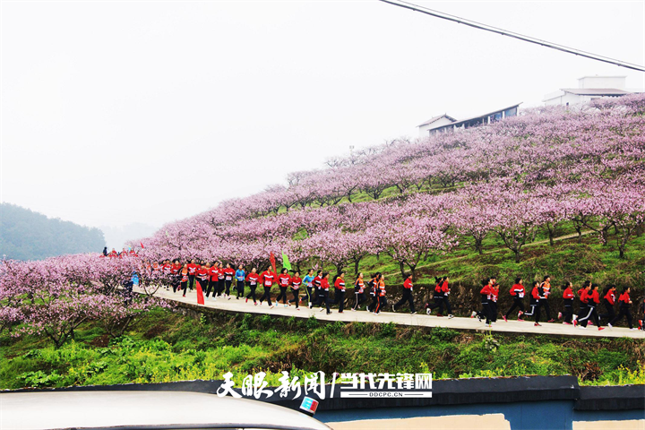 「四新四化蹲点采访」余庆县龙溪镇:"三个示范"推进示范乡镇建设