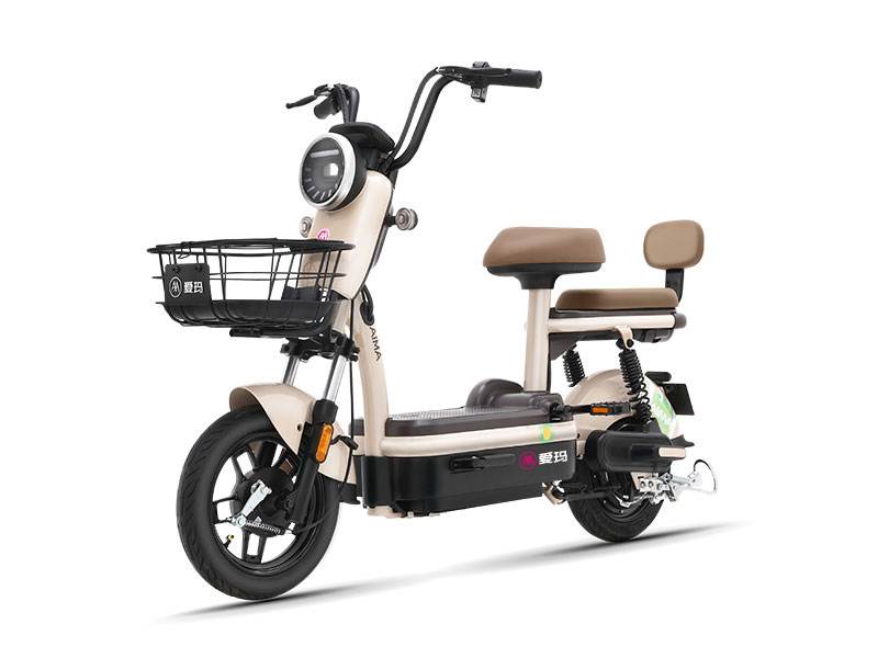 电动车48v12ah是什么意思