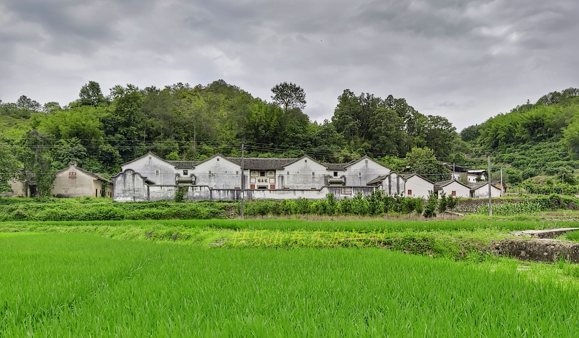 周末到梅州乡下饱览田园风光,闻闻稻花的清香,欣赏古民居的壁画