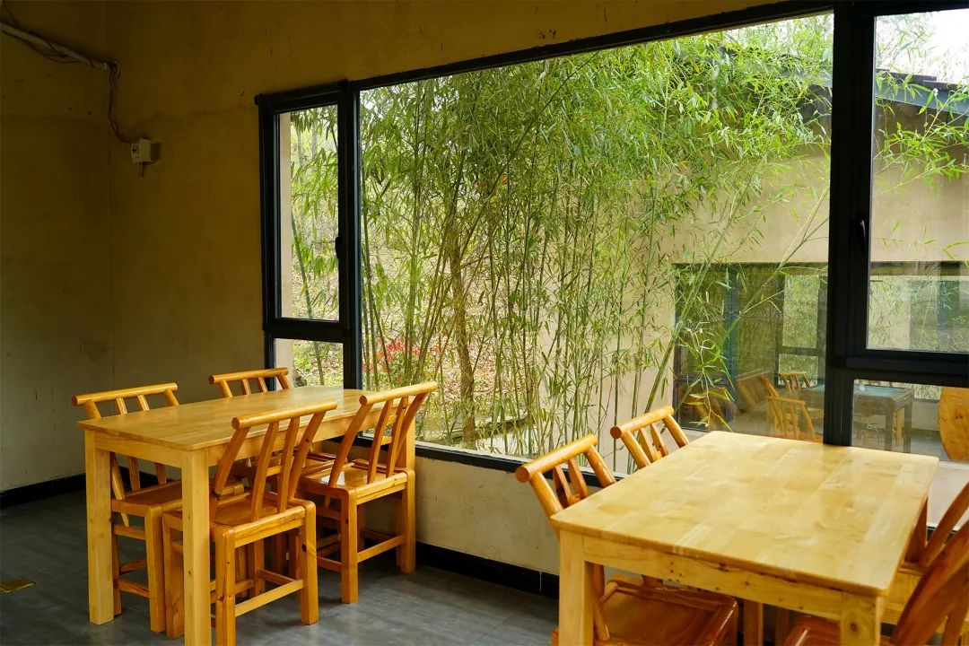 陕南平利:去女娲康养民宿村,赏十里春光百花妍