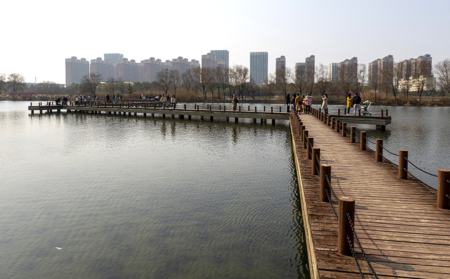 充满自然野趣的武汉竹叶海公园初春印象