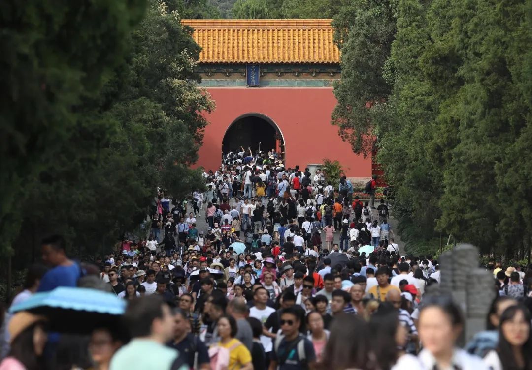 人从众叕!暑期出游有多火爆?这些主题游成热门