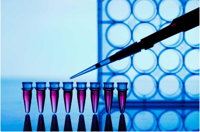 elisa实验常见问题(一)