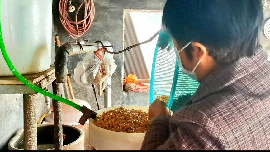舞钢热豆腐:最质朴,最淳厚的"城市礼节"