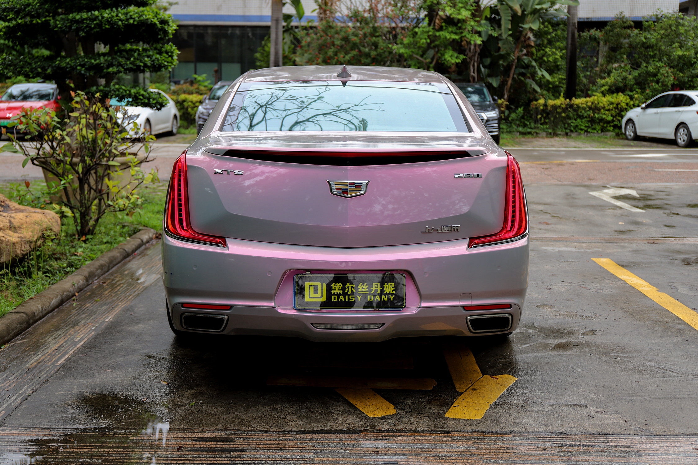 黛尔丝丹妮改色膜 凯迪拉克xts梦幻火山灰案例