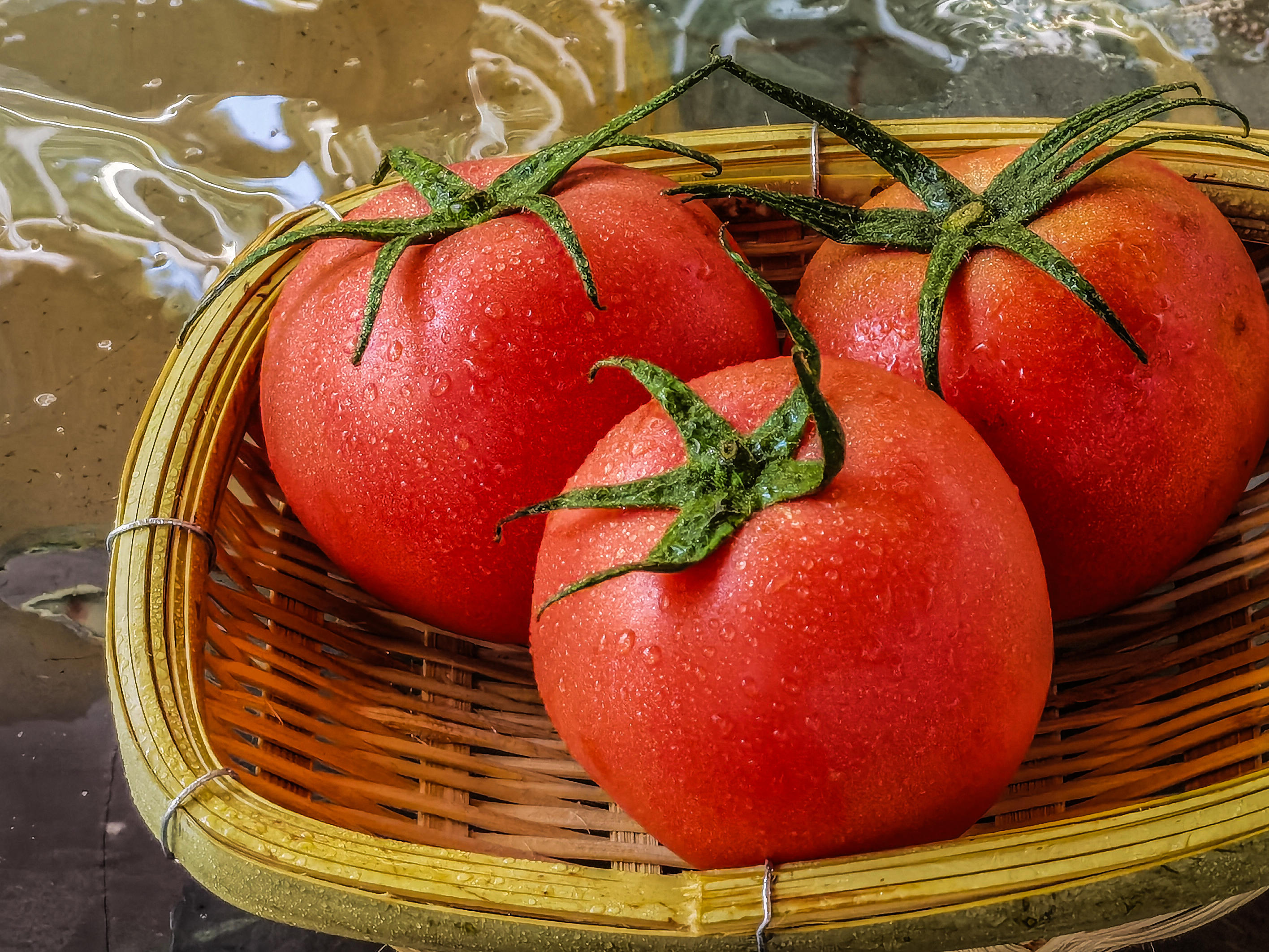 美食摄影 蔬菜番茄