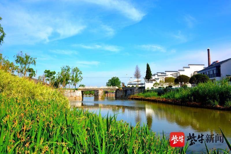 盐城市大丰区草堰镇抢抓长三角一体化发展机遇 助推镇域高质量发展