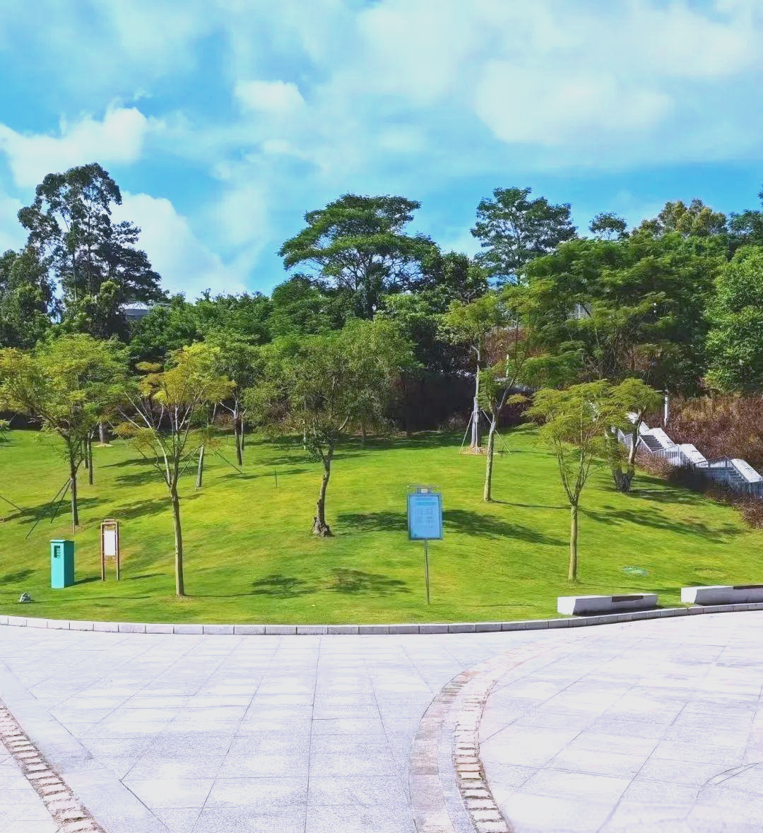 深圳白石龙音乐公园:音乐与自然的完美结合