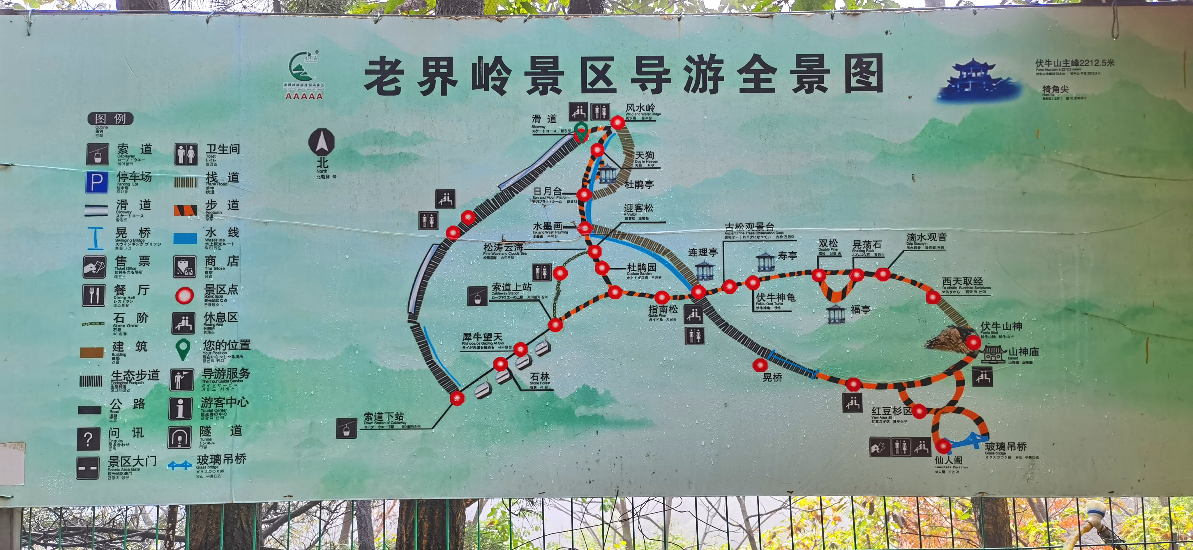 河南5a风景区:老界岭,一日游攻略