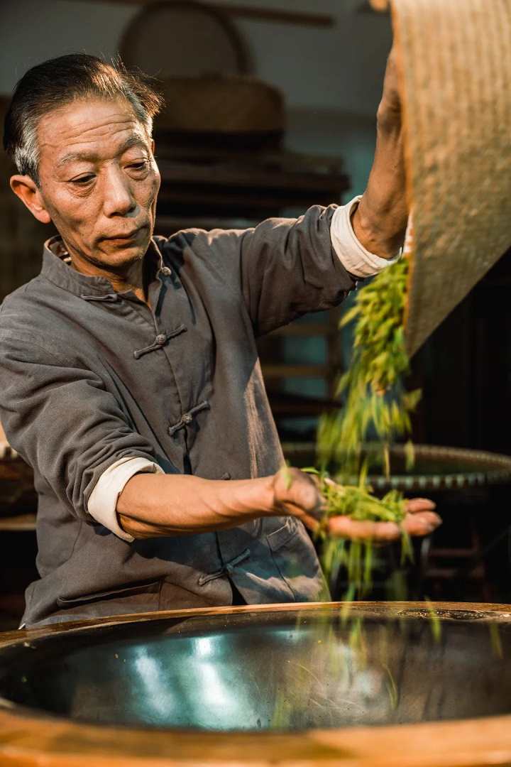 杭州桐坞村有位宝藏炒茶师,从13岁到现在,只炒坏了一锅茶,缘由也很特