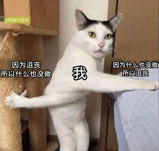 「meme」梗图放送 pt 046